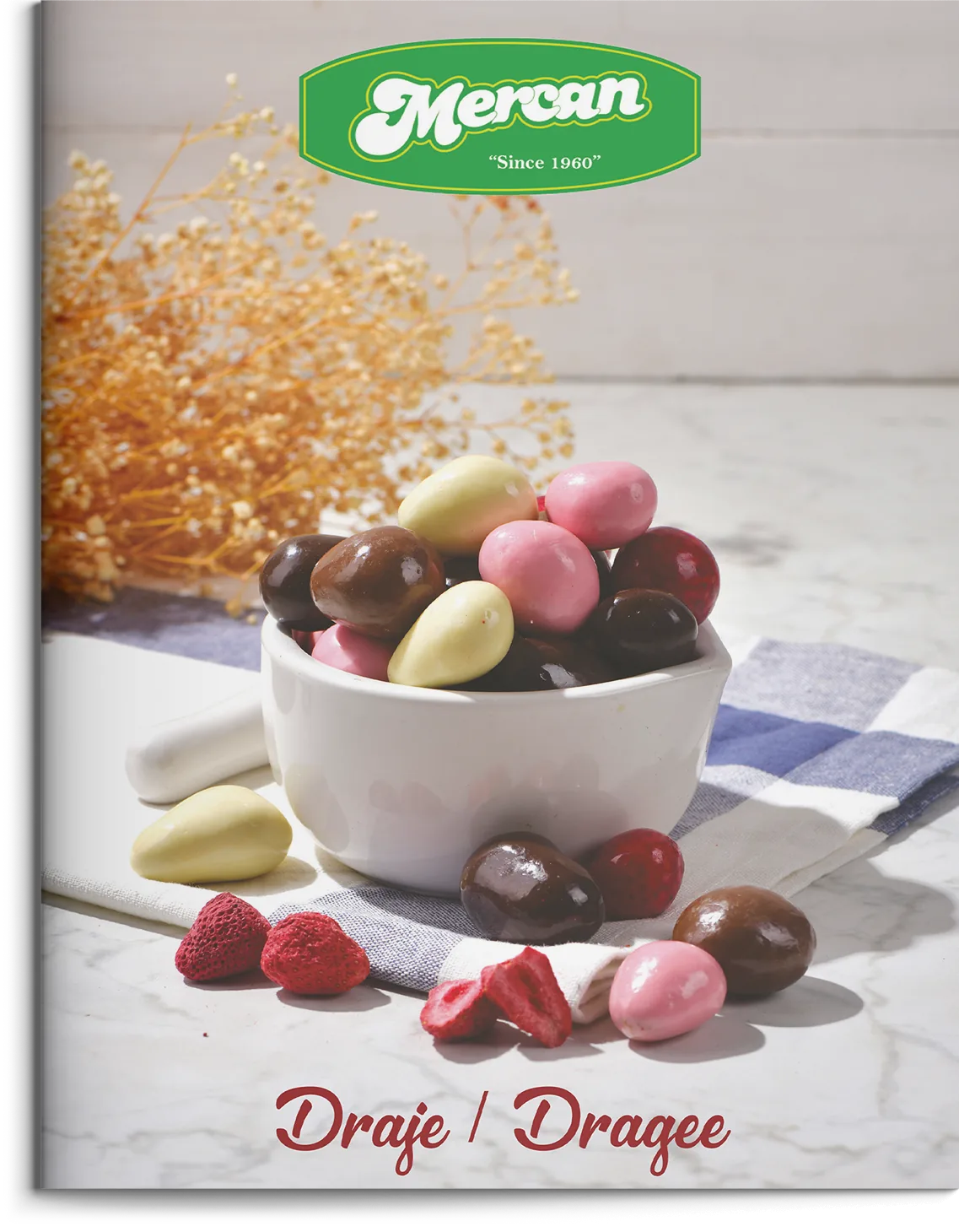 كتالوج دراجي